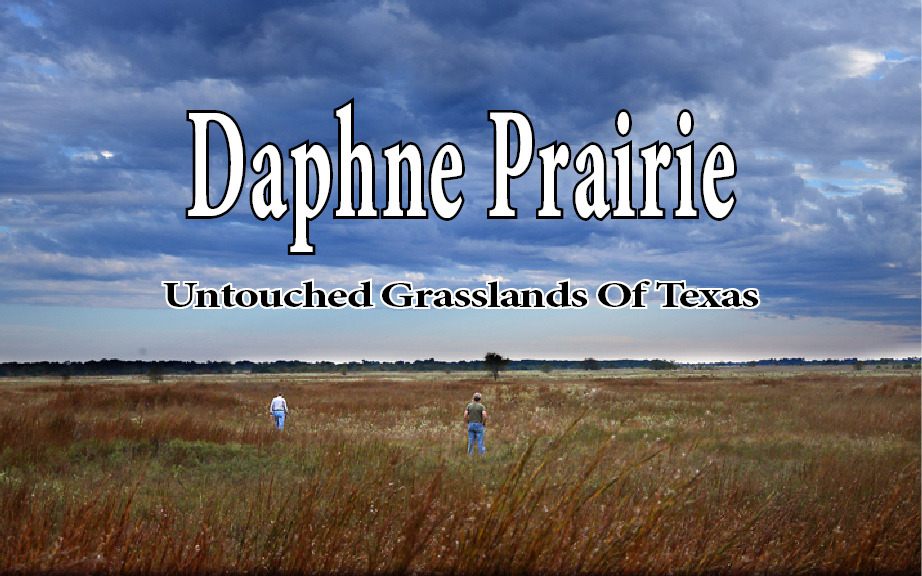 Flora & fauna on Daphne Prairie draw diverse life forms to Franklin County