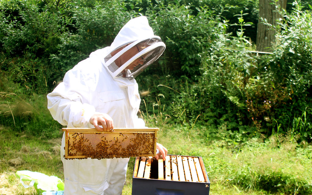 Texans search English Abbey for beekeeper