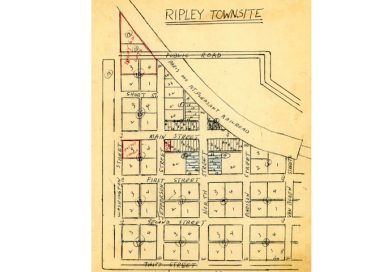 1913 Platte of Ripley Townsite in Titus County Texas