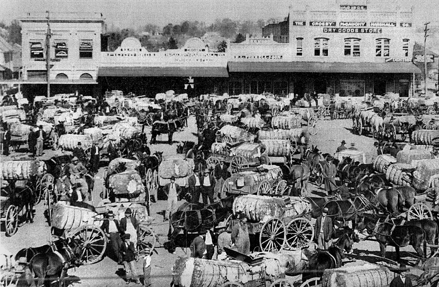 Cotton on the Mt Pleasant Square