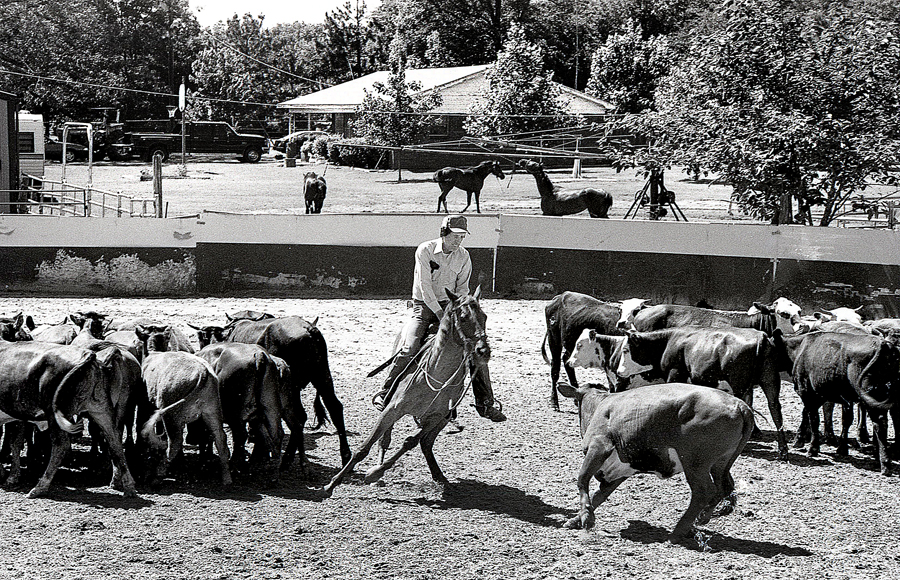 Billy Ray Rosewell cutting