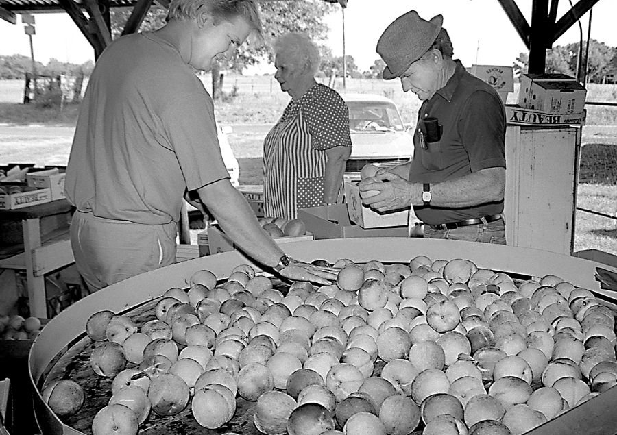 Efurd Orchards