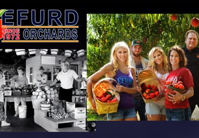 Efurd Orchards cover