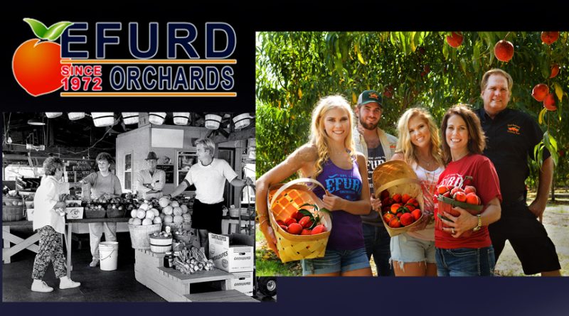 Efurd Orchards cover