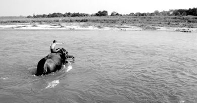 Elder Family Show Elephant crossing the Red River
