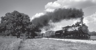 Engine 316 of the Texas State Railroad line