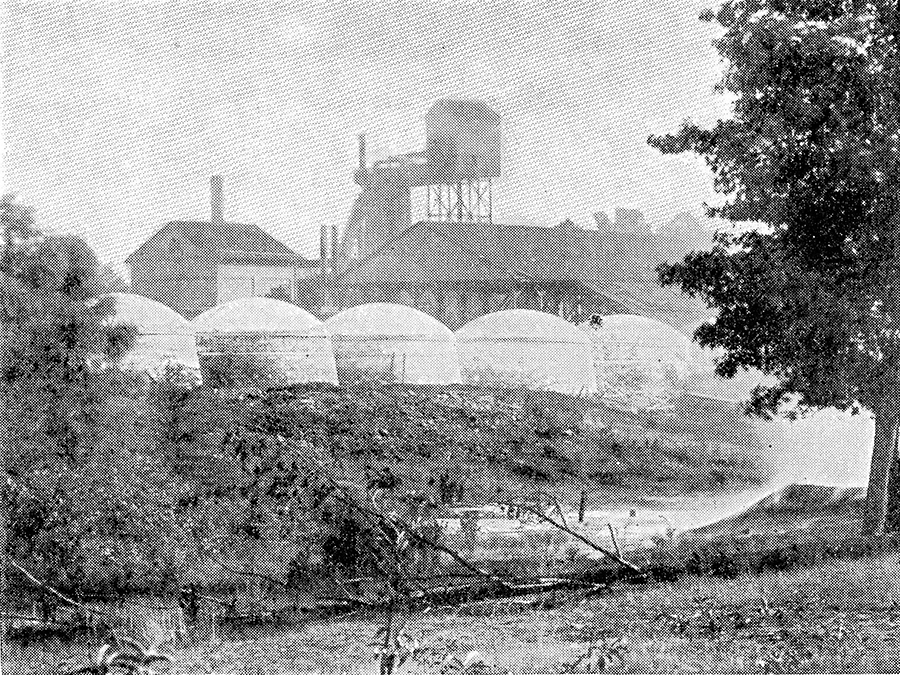 Iron Work and Cook Oven at Jefferson, Texas