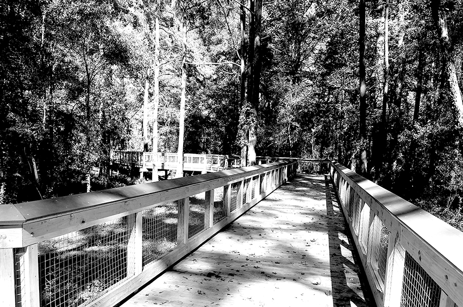 Jefferson River Walk