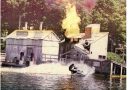Theme Park Show