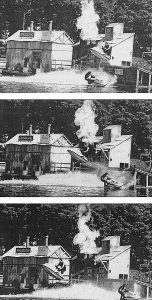 Theme Park Show