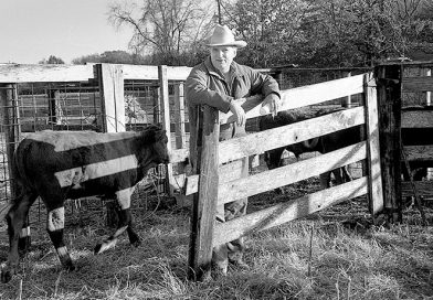 Tom Ramsay’s Unexpected Link to Ima Hogg Through Franklin County History Tom Ramsay at corral