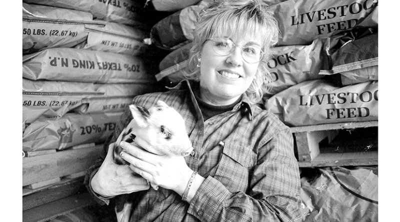 Gidget the Feral Hog Finds a Home in Mt. Pleasant Tonya Freeman