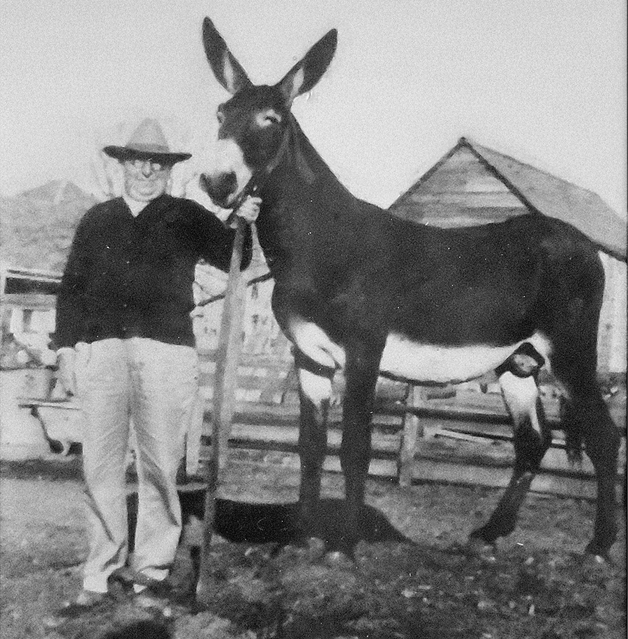 Papa Vissering with mule