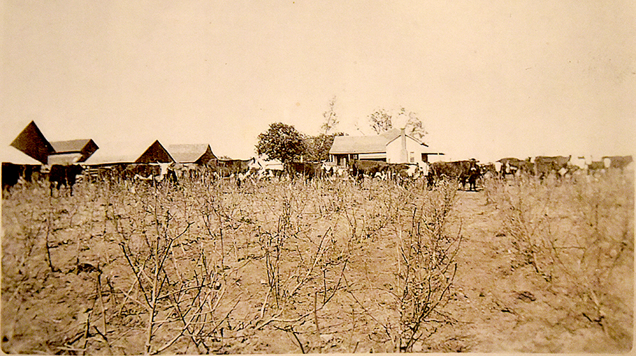 Vissering family had established a substantial farm and ranch operation in Morris County, Texas