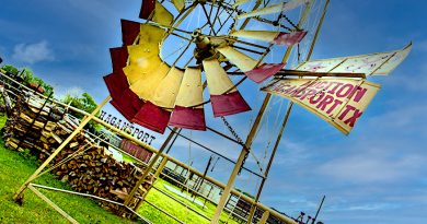 Hagansport, Texas Auction